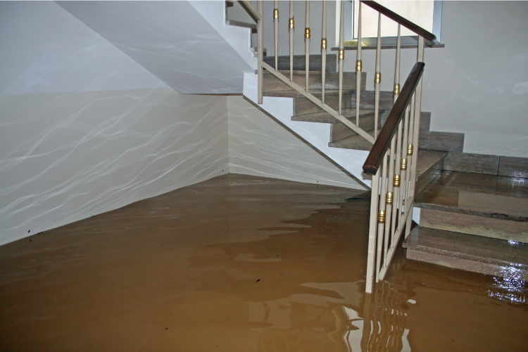 Salt River Resto House flood